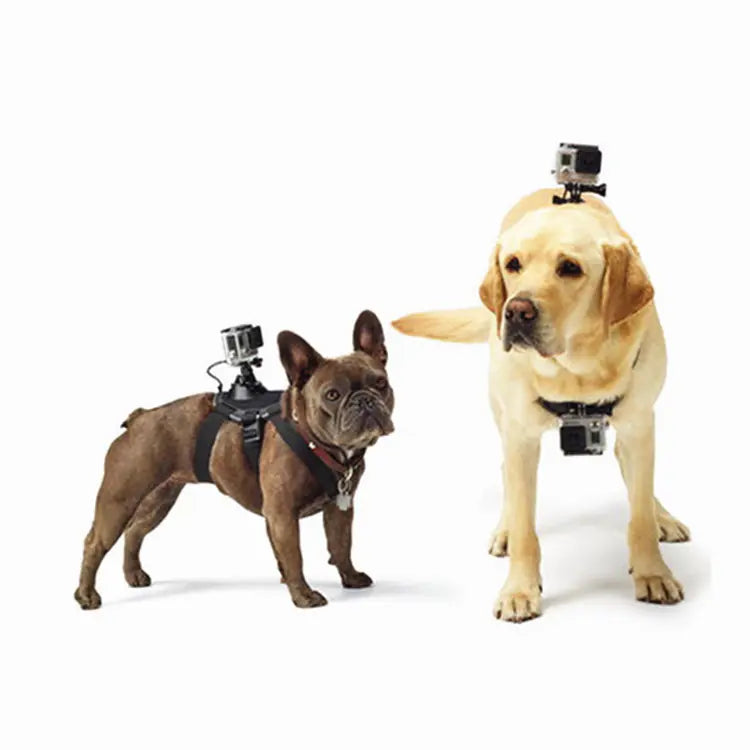 GoPro-hundesele
