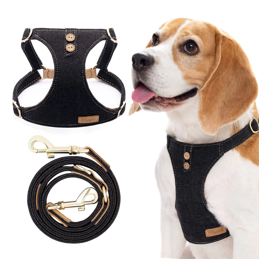 Hundesele uten trekking – sele og multifunksjonelt båndsett for mellomstore hunder